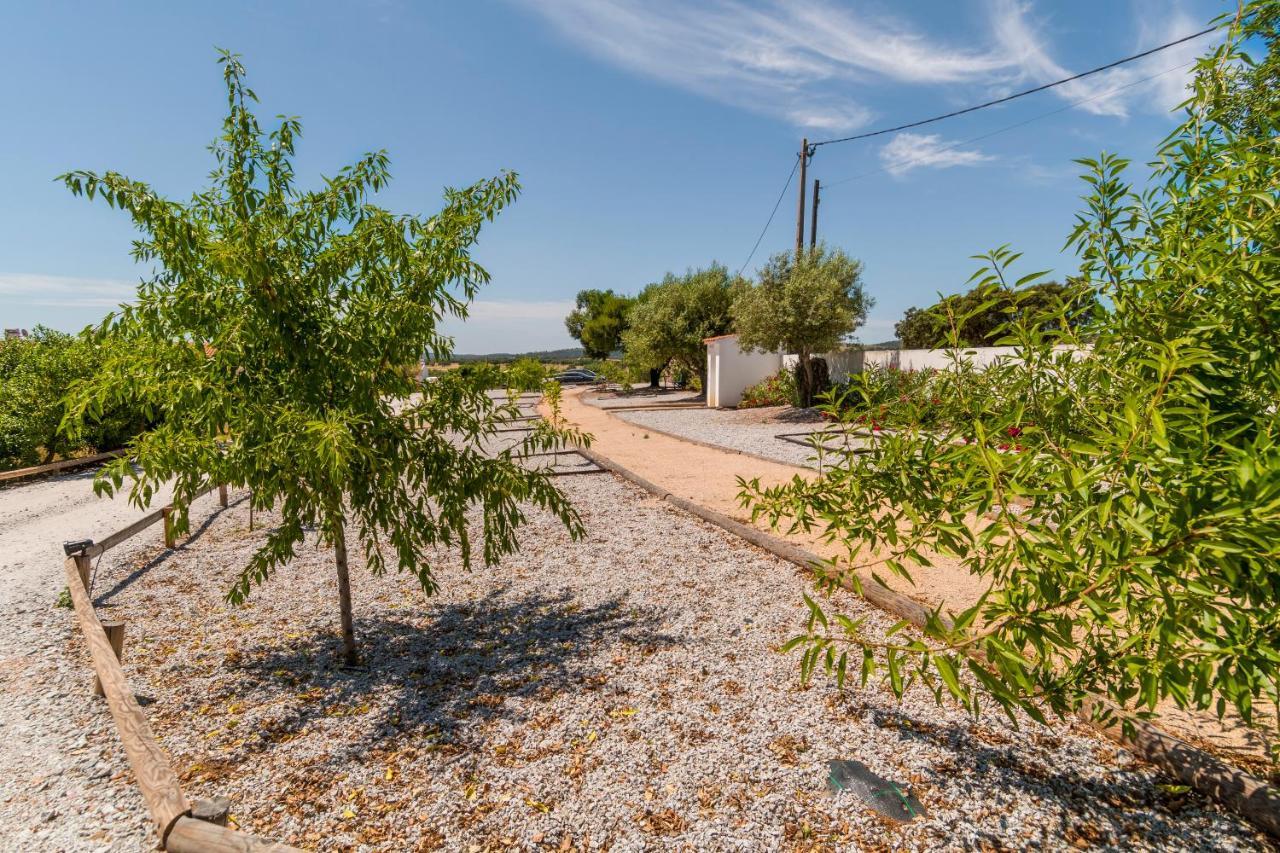 مبيت وإفطار Alcáçovas Monte Da Cabeca Gorda المظهر الخارجي الصورة